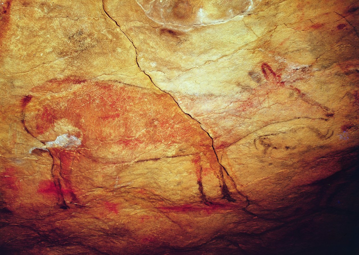 アルタミラ洞窟の雄鹿、紀元前15,000年頃（洞窟壁画）